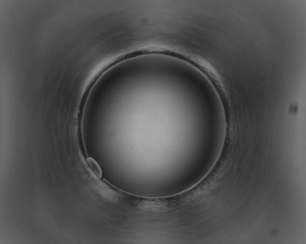 X0000091731183200708241405