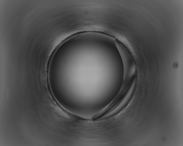 X0000091731184200708241405