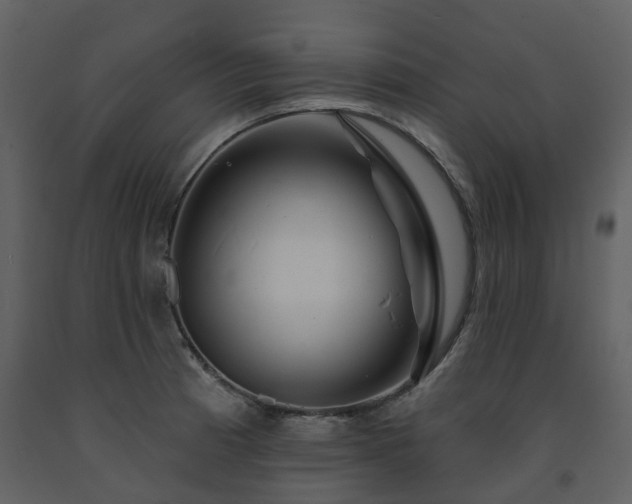X0000091731185200708241405