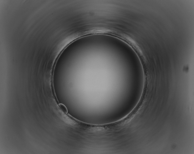 X0000091731186200708241405