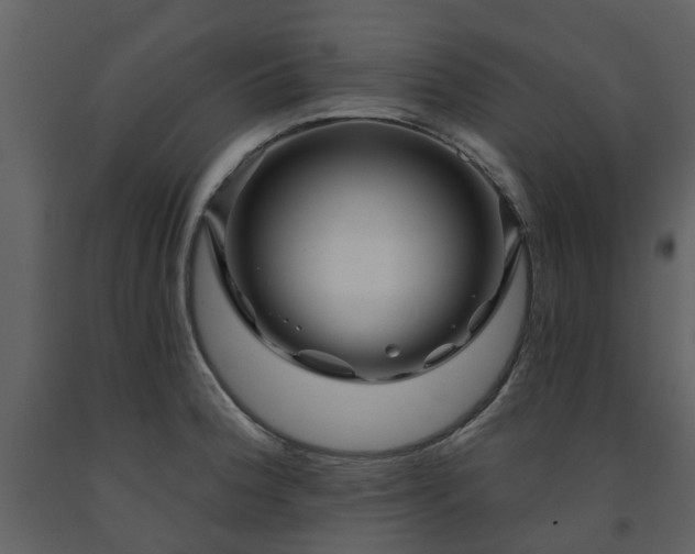 X0000091731188200708241405