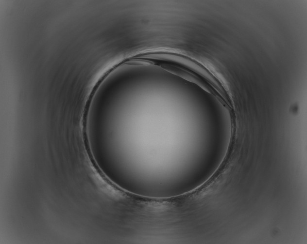 X0000091731189200708241405