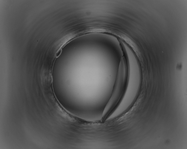 X0000091731193200708241405