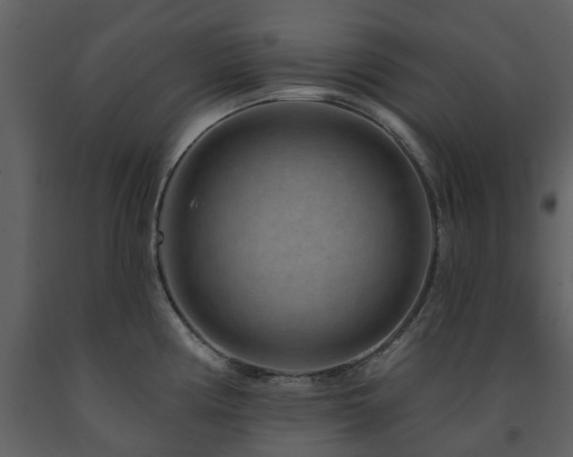 X0000091731194200708241405