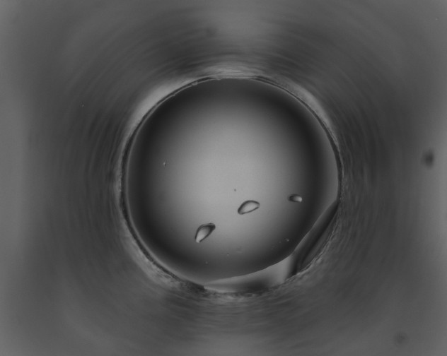 X0000091731195200708241405