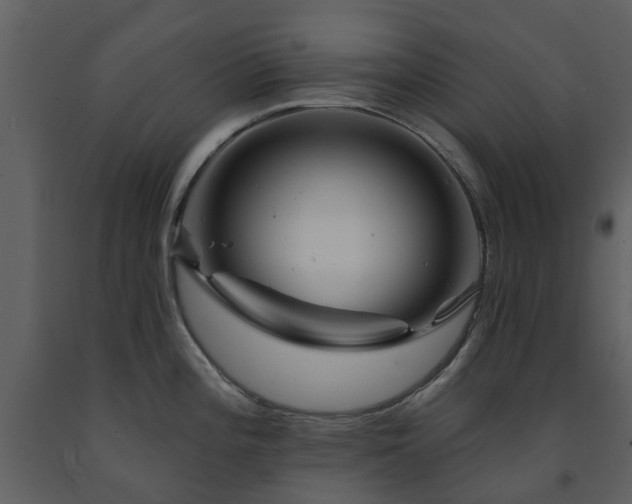 X0000091731196200708241405