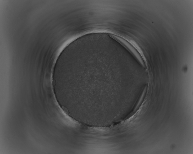 X0000091731197200708241405