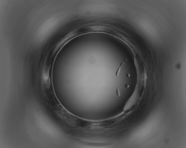 X0000091731198200708241405