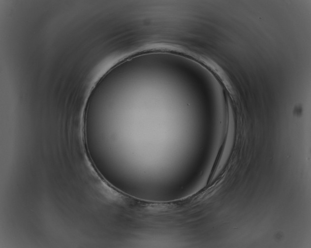X0000091731199200708241405