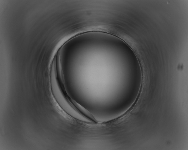 X0000091731200200708241405