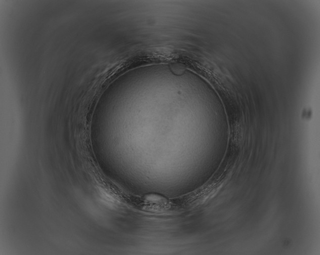 X0000091731201200708241405