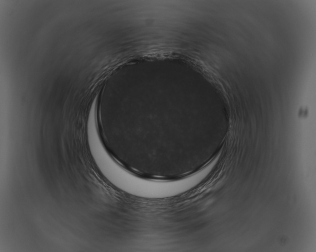 X0000091731202200708241405