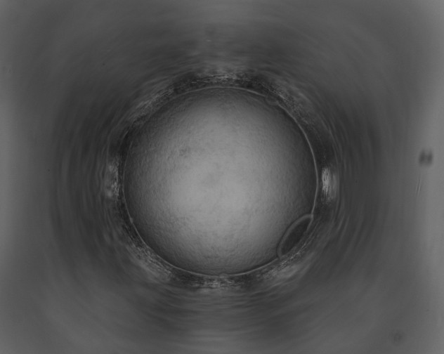 X0000091731203200708241405