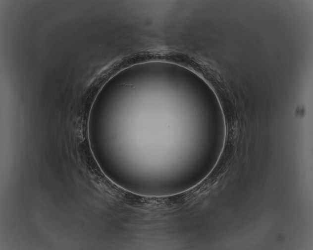X0000091731205200708241405