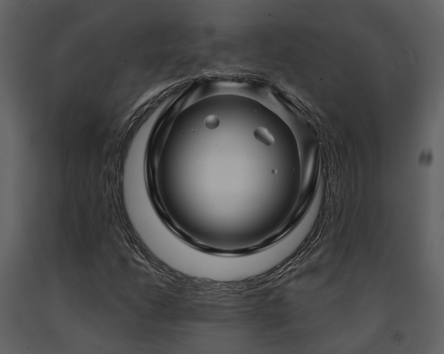 X0000091731206200708241405