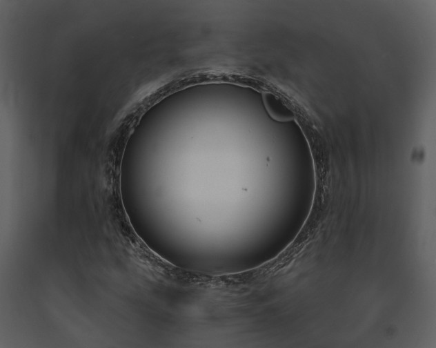 X0000091731207200708241405