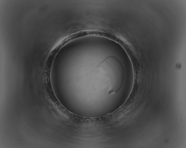 X0000091731208200708241405