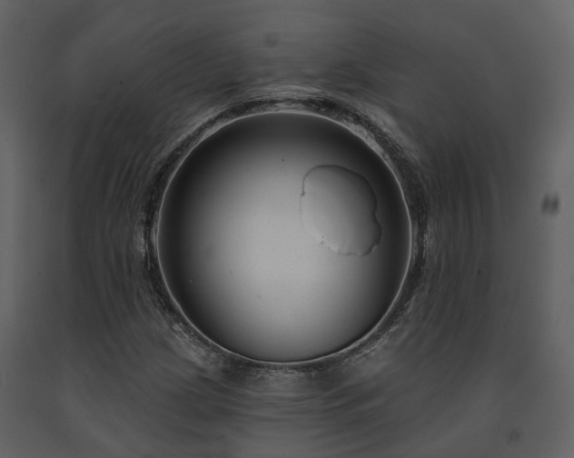 X0000091731209200708241405