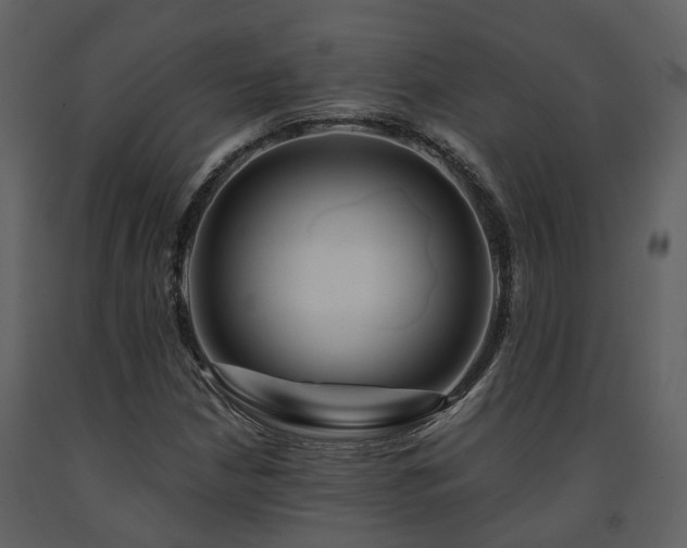 X0000091731210200708241405