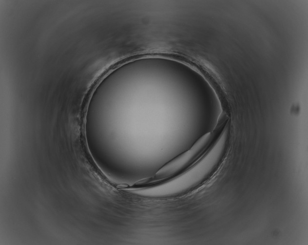 X0000091731212200708241405