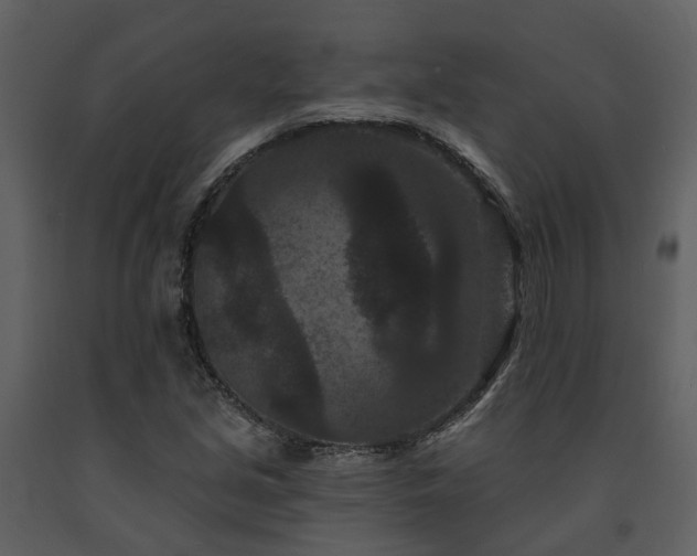 X0000091731213200708241405