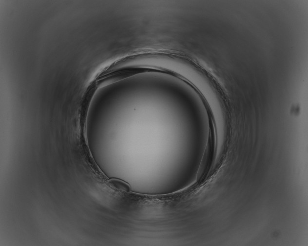 X0000091731214200708241405