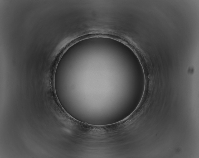 X0000091731215200708241405