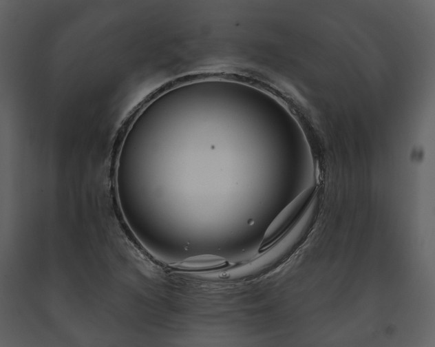 X0000091731216200708241405