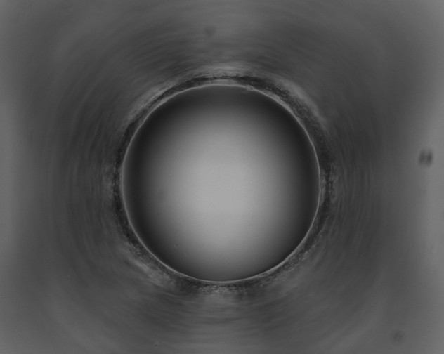 X0000091731217200708241405