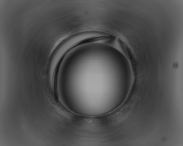 X0000091731218200708241405