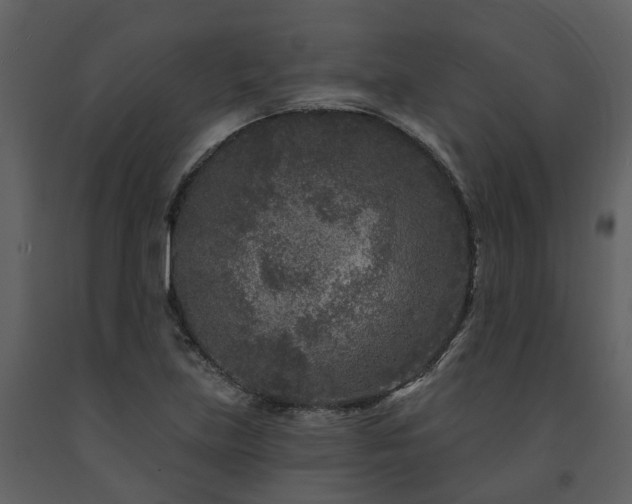X0000091731219200708241405