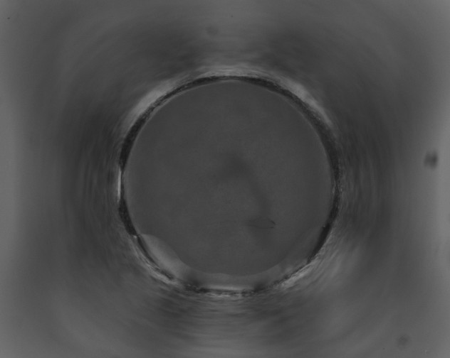 X0000091731221200708241405