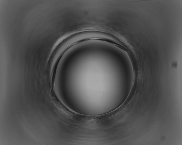 X0000091731222200708241405