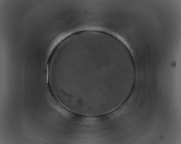 X0000091731223200708241405