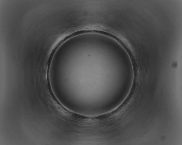 X0000091731224200708241405