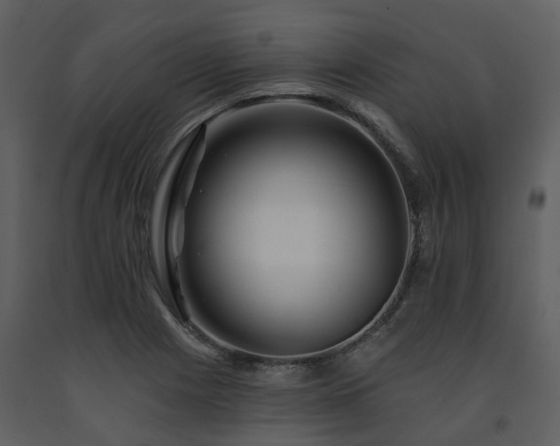 X0000091731225200708241405