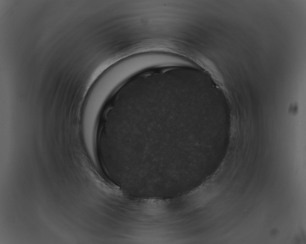 X0000091731226200708241405