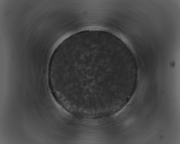 X0000091731229200708241405