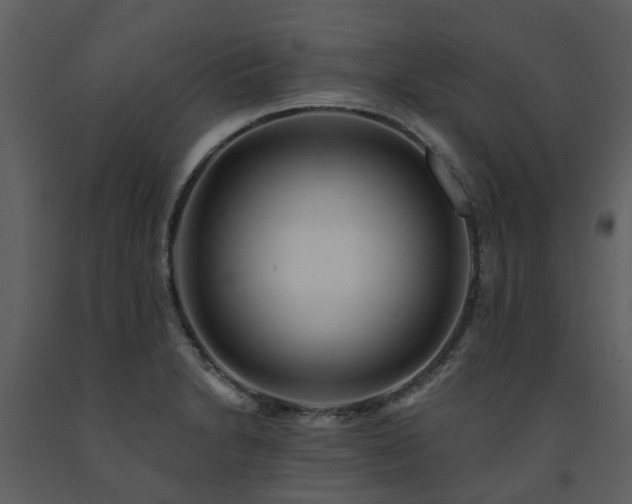 X0000091731230200708241405