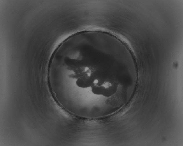 X0000091731231200708241405