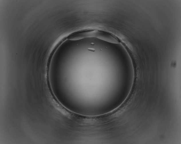 X0000091731232200708241405