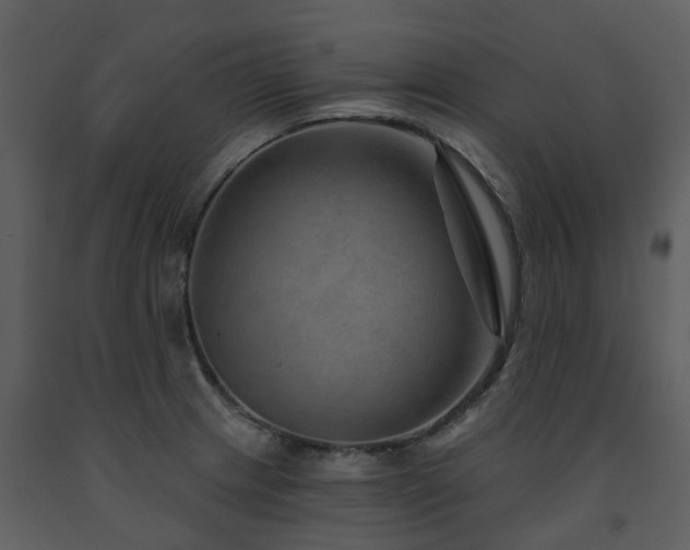 X0000091731233200708241405