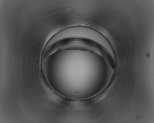 X0000091731234200708241405