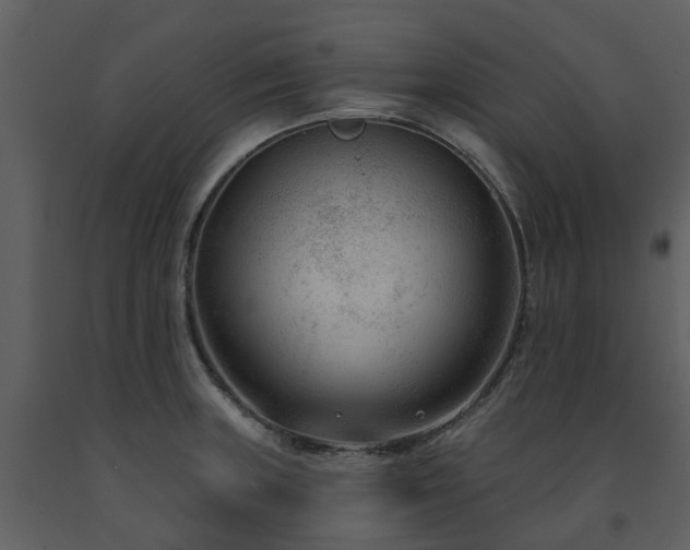 X0000091731235200708241405