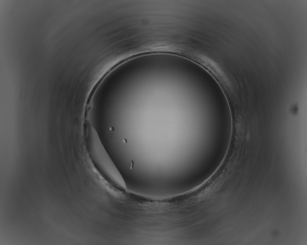 X0000091731236200708241405