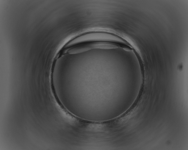 X0000091731237200708241405