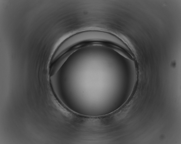 X0000091731238200708241405