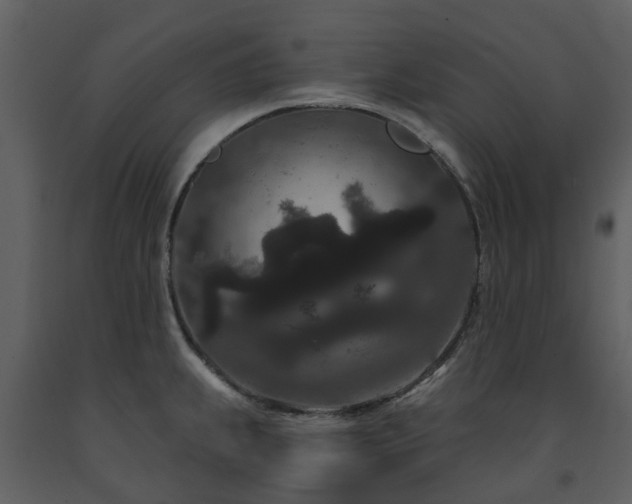 X0000091731239200708241405
