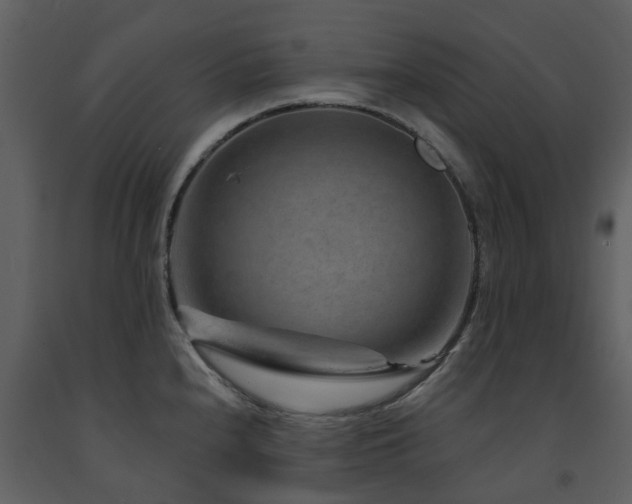 X0000091731240200708241405
