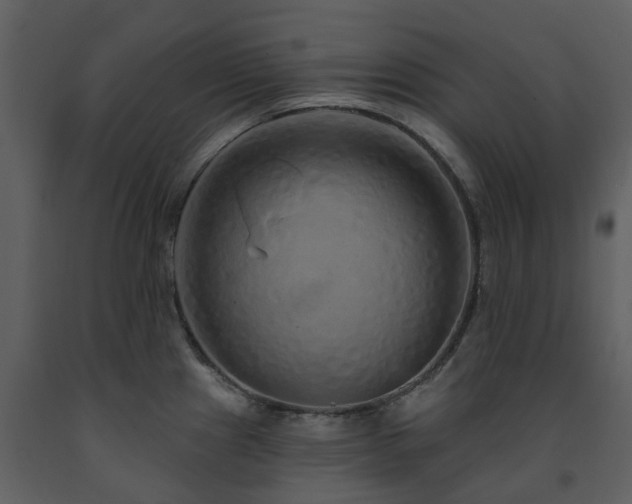 X0000091731241200708241405